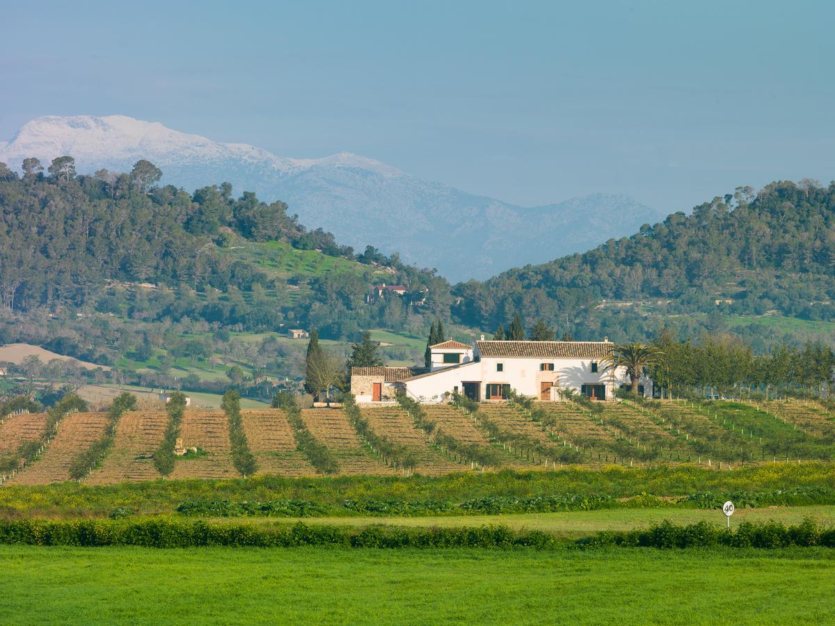 Agroturisme Gossalba Sant Joan Экстерьер фото